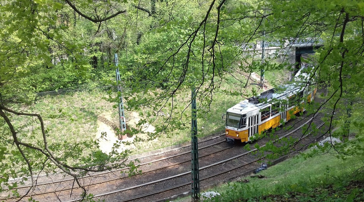 A hűvösvölgyi villamosvonalakon találkoznak legtöbbször a szatírral /Fotó: Google Maps