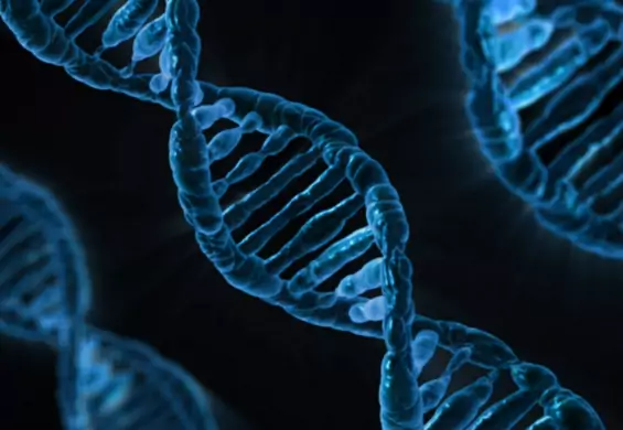 "DNA superbohatera"? Nowe odkrycie nauki może wiele zmienić w medycynie