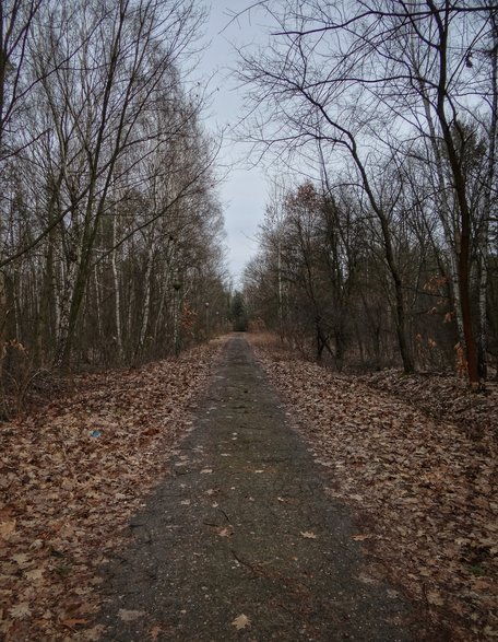 Droga dojazdowa do głównego budynku RON