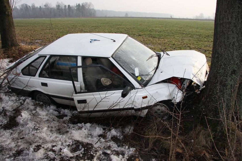 Polonez uderzył w drzewo