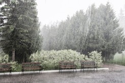 Gwałtowne zmiany w pogodzie. Najnowsza prognoza na Boże Ciało i długi weekend