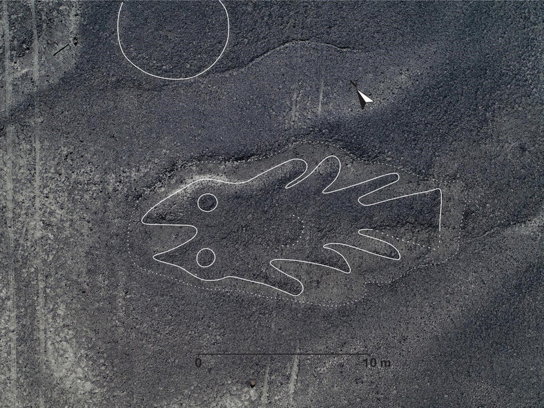 Nowe tajemnicze rysunki odkryte na płaskowyżu Nazca