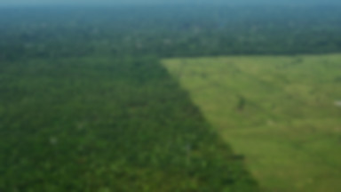 Amazońska puszcza znika za przyzwoleniem prezydenta Brazylii  szybciej niż uważano