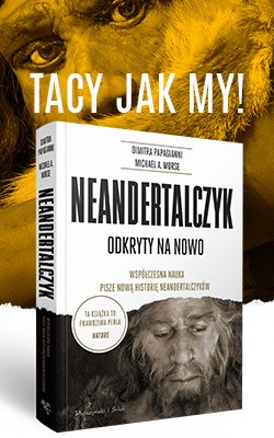 "Neandertalczyk. Odkryty na nowo. Współczesna nauka pisze nową historię neandertalczyków", Dimitra Papagianni i Michael A. Morse 