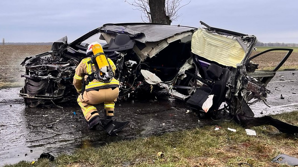 Samochód uderzył w drzewo i zapalił się. Nie żyje 18-latka