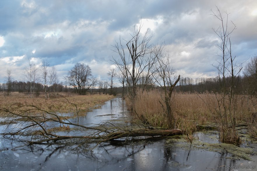 Opuszczona wieś Ławy