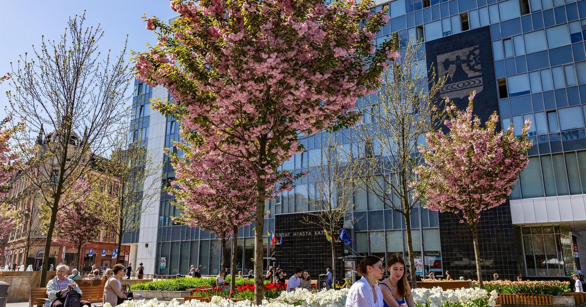 Zielony Budżet Obywatelski. W Katowicach mamy 121 zwycięskich projektów