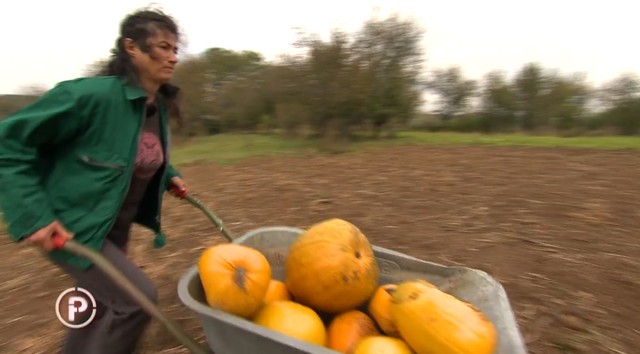 Svaki dan je ispunjen napornim radom i brigom o životinjama