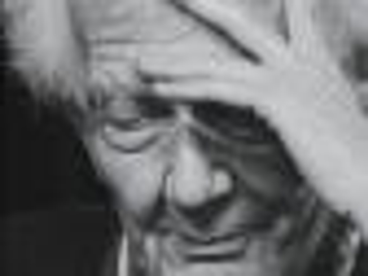 Zygmunt Bauman "To nie jest dziennik"