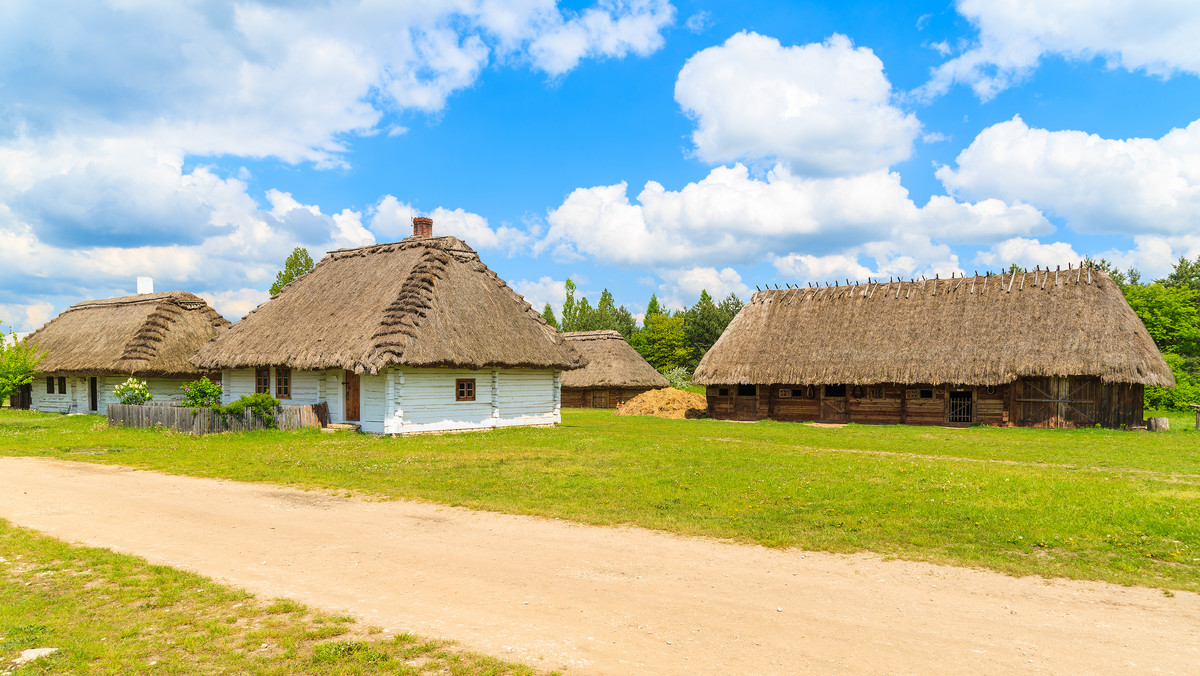 O przekroczenie uprawnień, utrudnianie przetargu, wyłudzenie poświadczenia nieprawdy oraz wyrządzenie szkody majątkowej na ponad milion złotych, oskarżyła Prokuratura Rejonowa Kielce-Wschód byłego dyrektora Muzeum Wsi Kieleckiej, Janusza K. Sprawa dotyczy inwestycji realizowanej przez instytucję.