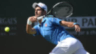 Ranking ATP: Novak Djoković zdecydowanym liderem, Jerzy Janowicz spada
