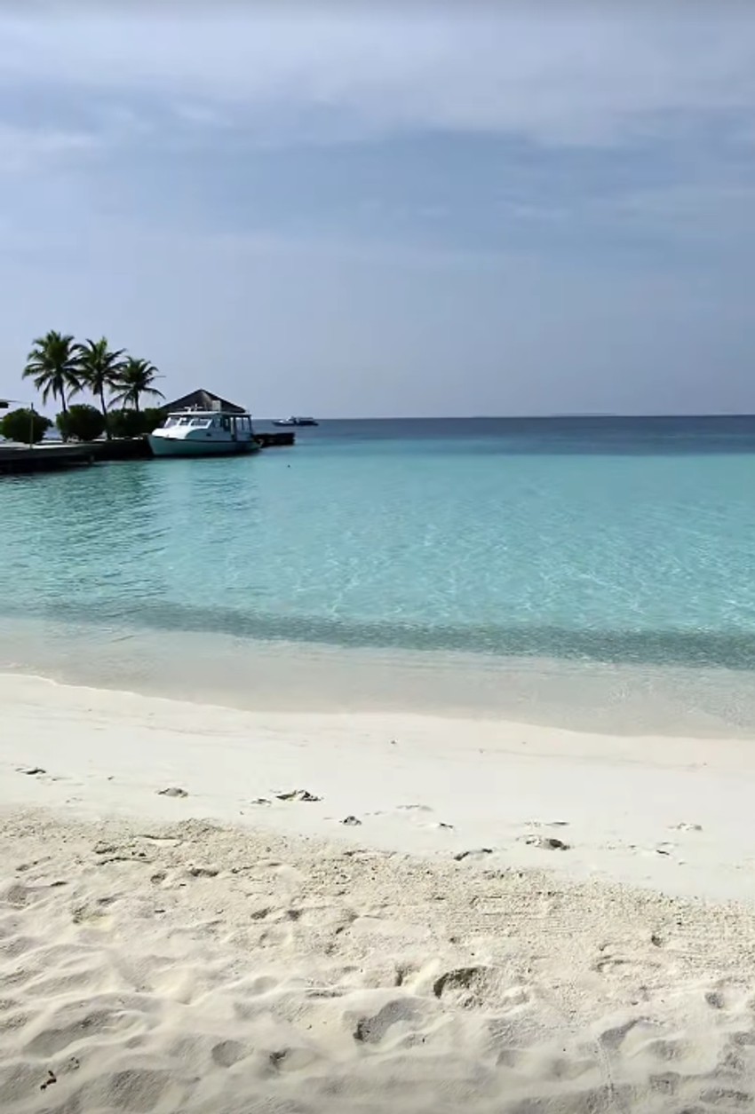 Saša Kovačević, objava