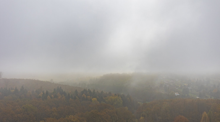 Köd egy erdő felett Nagykanizsán, a Csónakázó-tónál / Fotó: MTI/Varga György