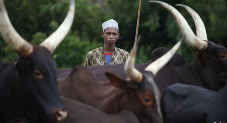 Armed men kill 12 in Central African Republic