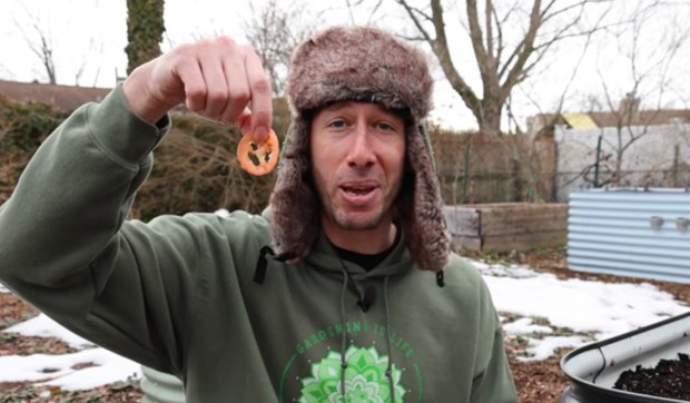 Posadio paradajz iz burgera