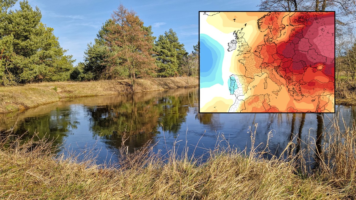 Nagły wystrzał temperatury przed świętami. Jest szansa na pierwsze 20 st. C