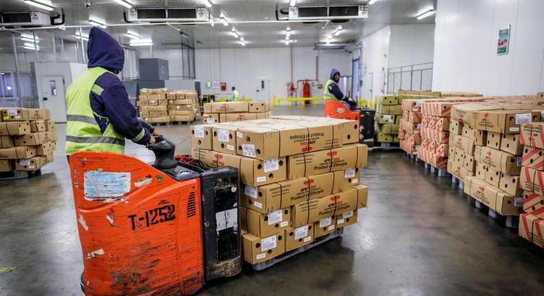 Loading of cut flowers at the Ethiopian Airlines cargo terminal at Addis Ababa airport, pictured on January 22, 2026, in Addis Ababa, Ethiopia. [Photo by Thomas Koehler/Photothek via Getty Images]
