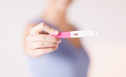 In vitro nie wyklucza naprotechnologii