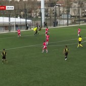 Fk Crvena Zvezda Blic Sport