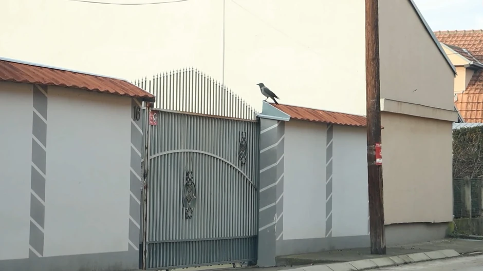 Kuća Miljane Kulić u Nišu