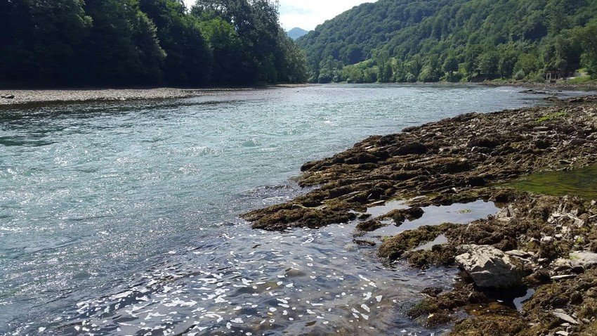 Pretražuju i kopno i vodu