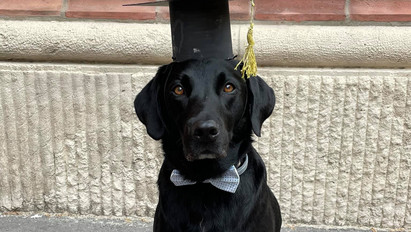 Napi cuki: a gazdájával diplomázott le a vakvezető kutya – Hivatalosan is kolbászológus lett Fülöp – fotók