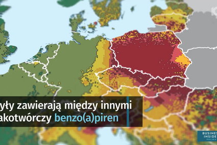 Polska oddycha trującym powietrzem. Jak powstaje smog