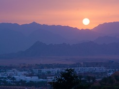 Rosyjskie służby: Katastrofa lotnicza na Synaju to był zamach