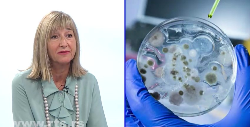 Ivana Begović Lazarević