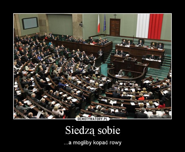 Galeria najlepszych MEMów tygodnia