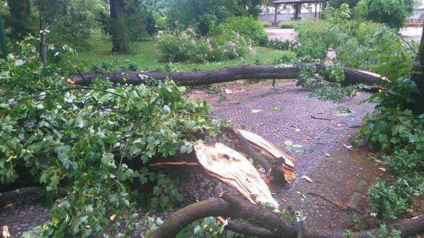 Stare Zoo zamknięte do odwołania przez burzę