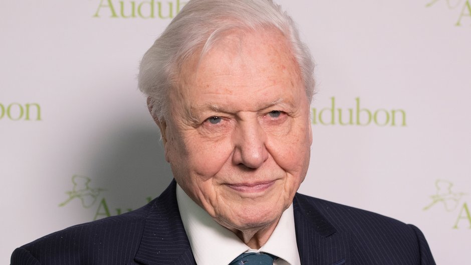 David Attenborough, fot: Lev Radin / Shutterstock