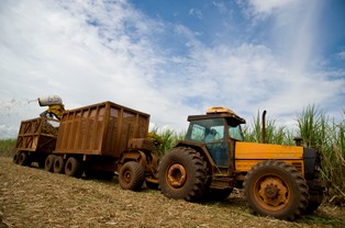 Sejm uchwalił zmiany w ustawie o biopaliwach i elektromobilności
