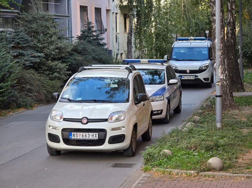 Pronađena mrtva beba, Novi Sad