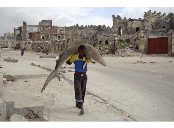 Omar Feisal z agencji Reuters sfotografował mężczyznę niosącego rekina w stolicy Somalii, Mogadiszu. Zdjęcie zwyciężyło w kategorii 'życie codzienne - zdjęcie pojedyncze'