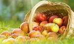 Światowy dzień jabłka. Wiesz dlaczego ten owoc to prawdziwy skarb?