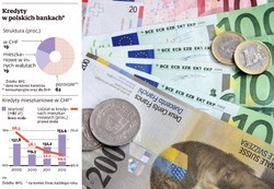 NBP ułatwi bankom dostęp do franka, ale kredyty w tej walucie nie wrócą