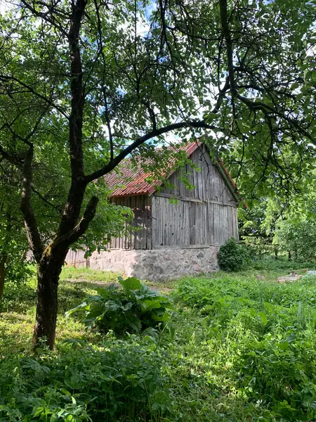 Od niedawna tworzę także autorski podcast &quot;Ruinersi. O życiu z dala od miasta&quot;