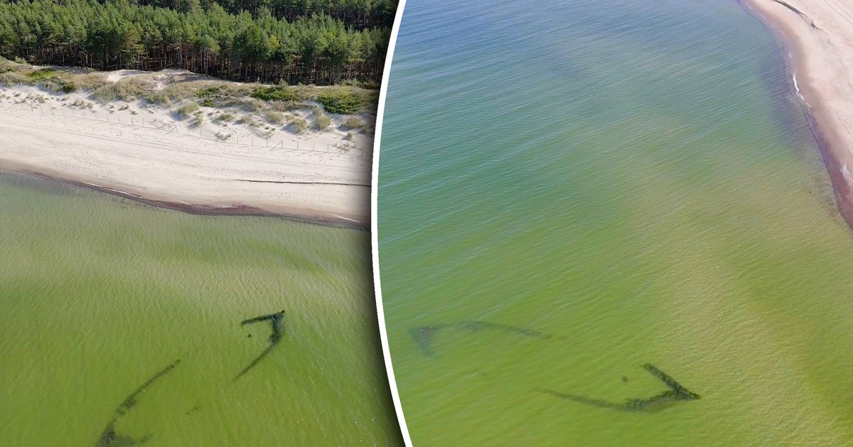 Bałtyk odsłonił kolejną tajemnicę. "Takie morskie skarby na plaży"