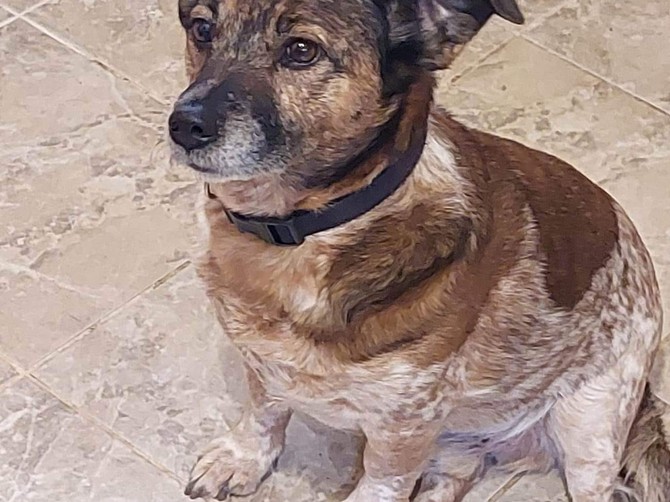 Gricko je nekoliko meseci pre nego što se razboleo, bio u punoj snazi