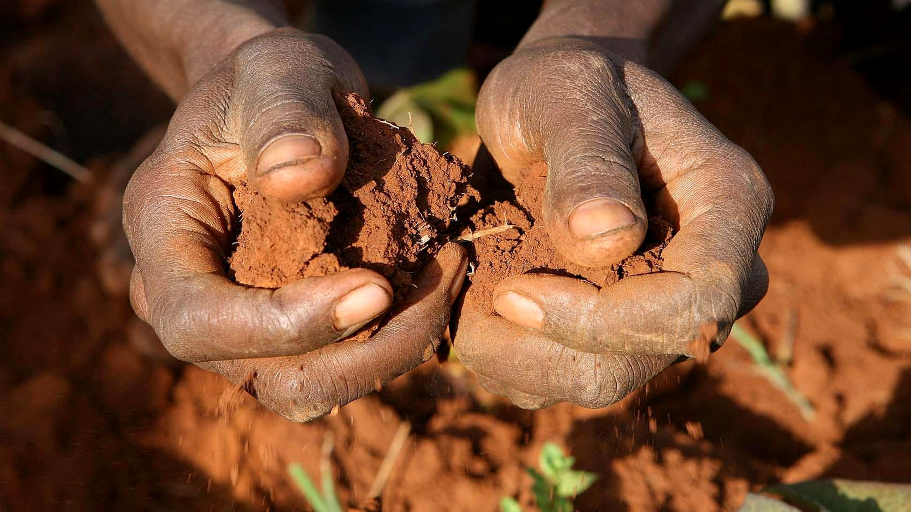 Cabinet ministers meet City chiefs on climate finance deal
