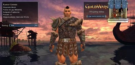 Screen z gry "Guild Wars"