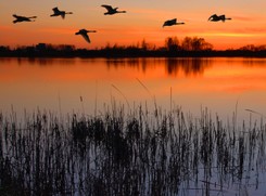 Samorządy mają problem z 'dzikimi' turystami. 'U sąsiada są goście na kwaterze'