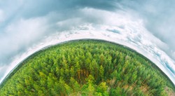 EKO-edukacja w szkole – jak uczyć młodych ludzi odpowiedzialności za planetę