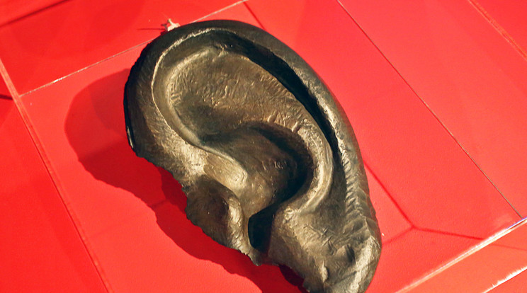 Sztálin bal bronz füle / Fotó: Séra Tamás