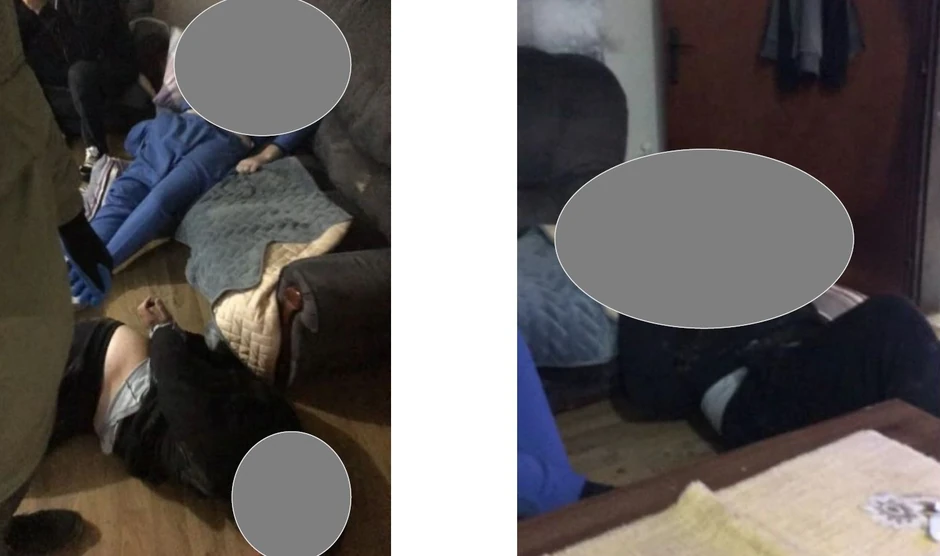 Damir Hodžić i Adis Spahić