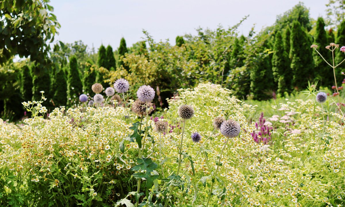 Quiz z przyrody. Sprawdź, czy twoja pamięć nie zarosła mchem