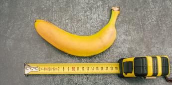 Can My Penis Increase In Girth If I Gain Weight?