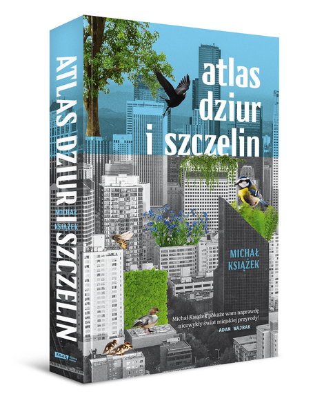 "Atlas dziur i szczelin"