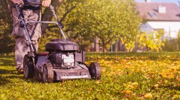 surowsze kary za wypalanie traw już obowiązują. nawet 30 tys. zł grzyw